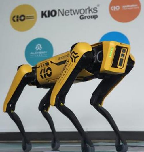 Adopta KIO Networks a SERVER y OS, los primeros perros robots en Latinoamérica